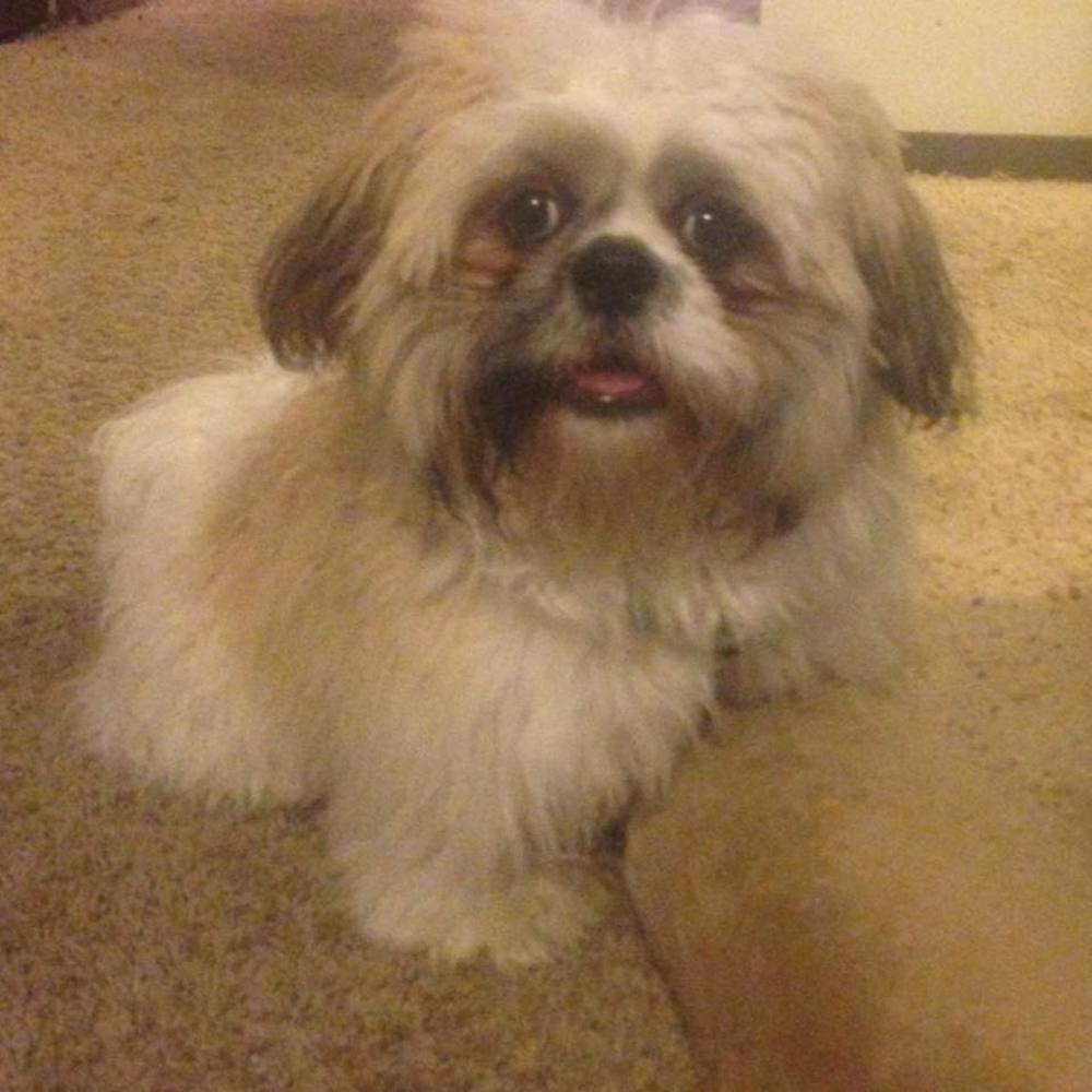 Meet your Posher, Tammy